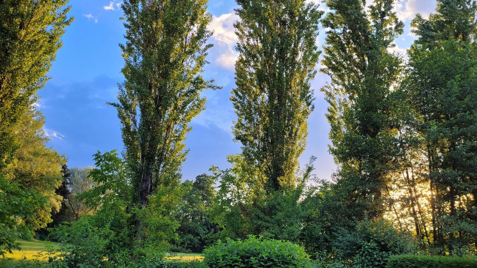Villa Blu Sankt Kanzian am Klopeiner See Exteriér fotografie